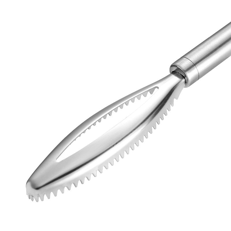 Fish Scale Scraper - 430 Stainless Steel Tool